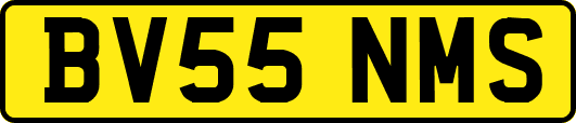 BV55NMS