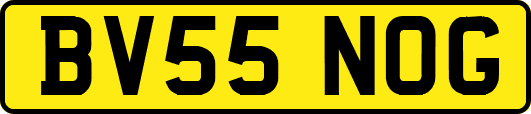 BV55NOG