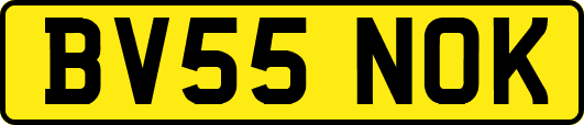 BV55NOK