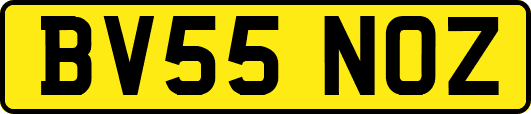 BV55NOZ