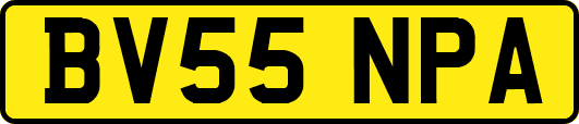BV55NPA