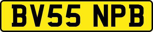 BV55NPB