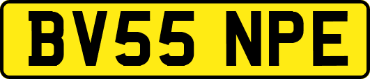 BV55NPE