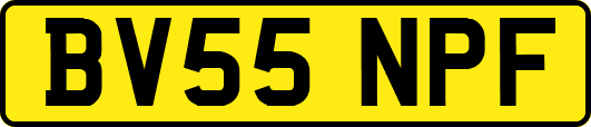BV55NPF