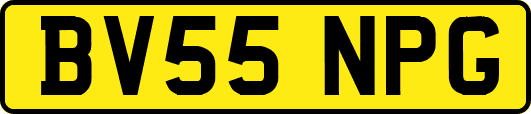 BV55NPG