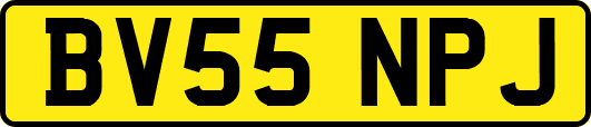 BV55NPJ