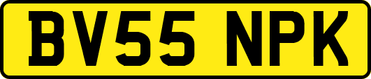 BV55NPK