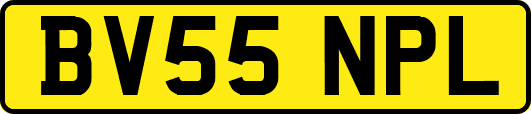 BV55NPL
