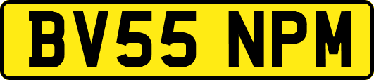 BV55NPM