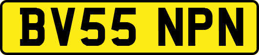 BV55NPN