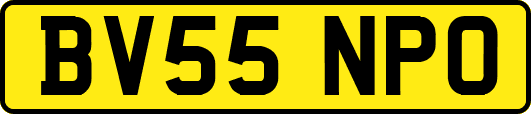 BV55NPO