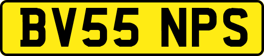 BV55NPS