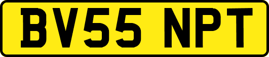 BV55NPT