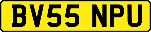 BV55NPU