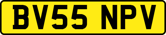 BV55NPV