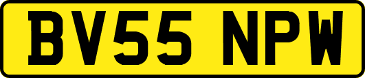 BV55NPW