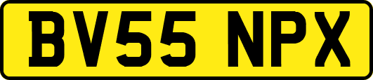 BV55NPX