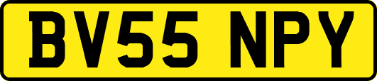BV55NPY