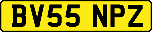 BV55NPZ