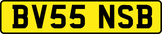 BV55NSB