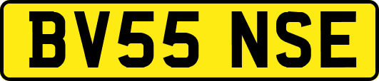 BV55NSE