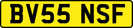 BV55NSF
