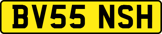 BV55NSH