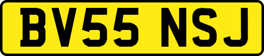 BV55NSJ