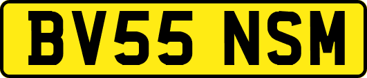 BV55NSM