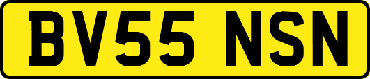 BV55NSN