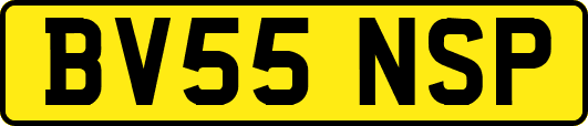 BV55NSP