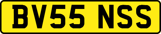 BV55NSS