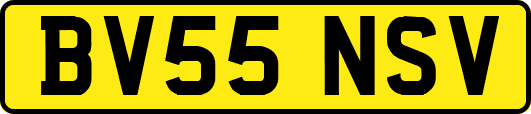 BV55NSV
