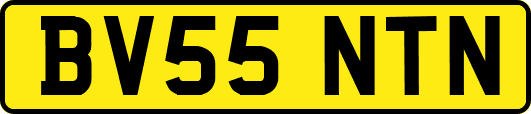 BV55NTN