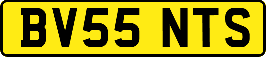 BV55NTS