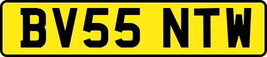 BV55NTW