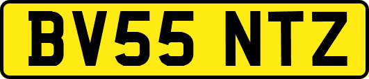 BV55NTZ