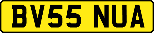 BV55NUA