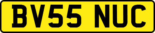 BV55NUC