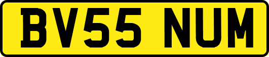 BV55NUM
