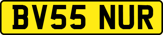 BV55NUR