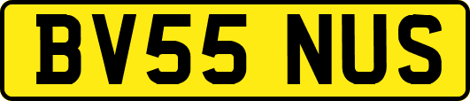 BV55NUS