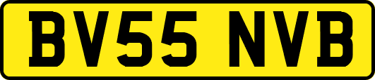 BV55NVB