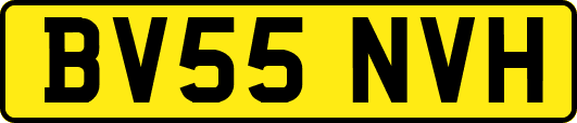 BV55NVH