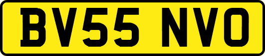 BV55NVO