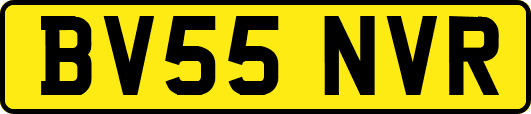 BV55NVR
