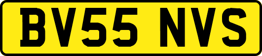 BV55NVS