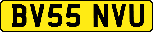 BV55NVU
