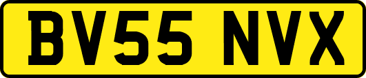 BV55NVX
