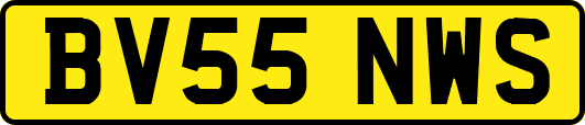 BV55NWS